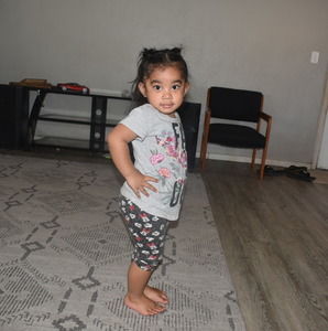 Meet your Posher, Rolly